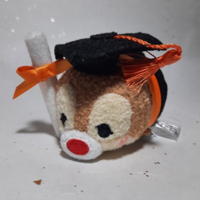 【HK disneyland】2021 Graduation tsum tsum dale