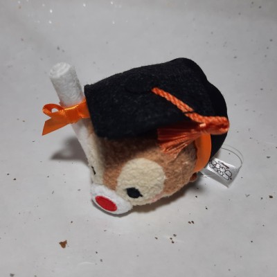 【HK disneyland】2021 Graduation tsum tsum dale