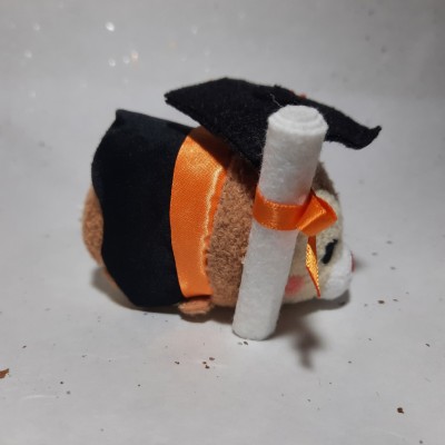 【HK disneyland】2021 Graduation tsum tsum dale