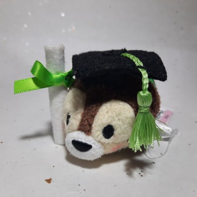 【HK disneyland】2021 Graduation tsum tsum chip