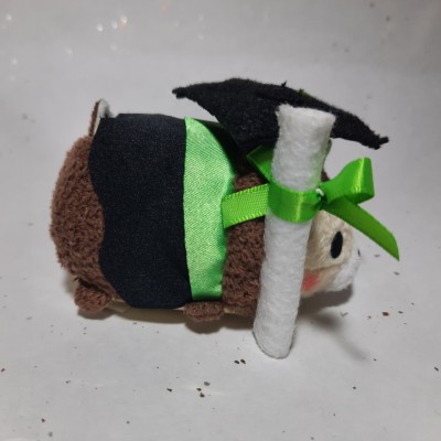 【HK disneyland】2021 Graduation tsum tsum chip