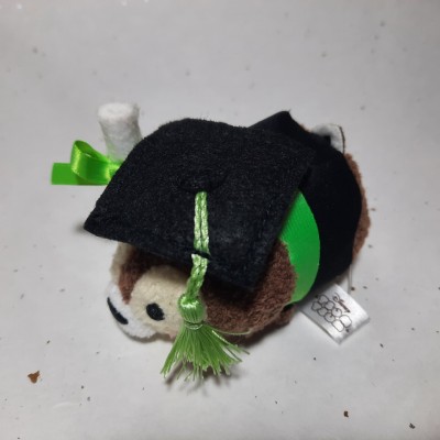 【HK disneyland】2021 Graduation tsum tsum chip