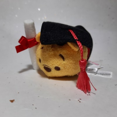 【HK disneyland】2021 Graduation tsum tsum pooh