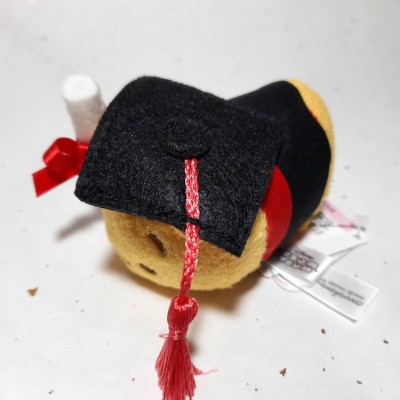 【HK disneyland】2021 Graduation tsum tsum pooh