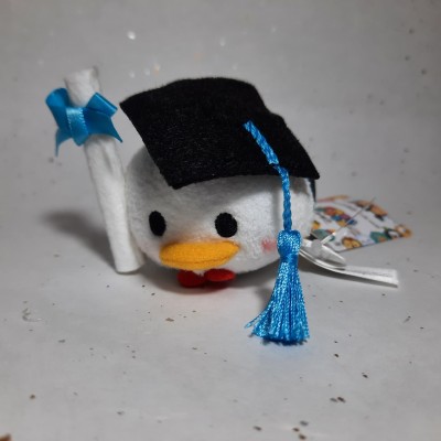 【HK disneyland】2021 Graduation tsum tsum donald
