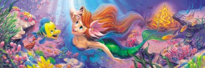 【puzzle】【透明】ariel 456塊 憧れの世界へ… (18.5x55.5cm)