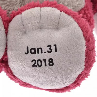 【訂制印名】【JP disneystore】 公仔 lotso